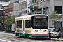 Toyama Chiho Tetsudo (Tram) De 8003