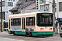 Toyama Chiho Tetsudo (Tram) De 8004
