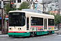 Toyama Chiho Tetsudo (Tram) De 8005