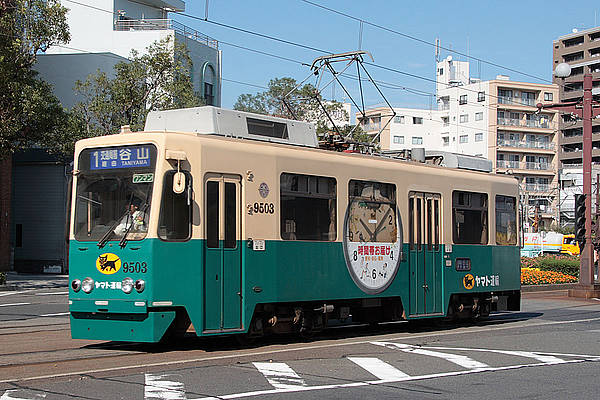 Kagoshima-shi 9503