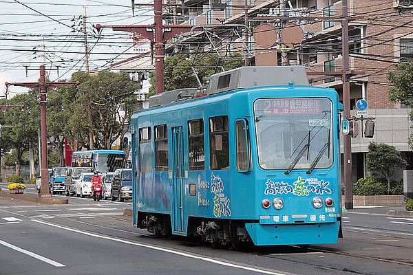 Kagoshima-shi 9508