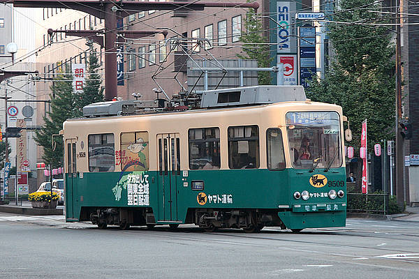 Kagoshima-shi 9509