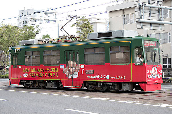 Kagoshima-shi 9701