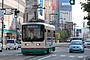 Toyama Chiho Tetsudo (Tram) De 8005